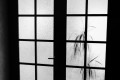 Contre jour